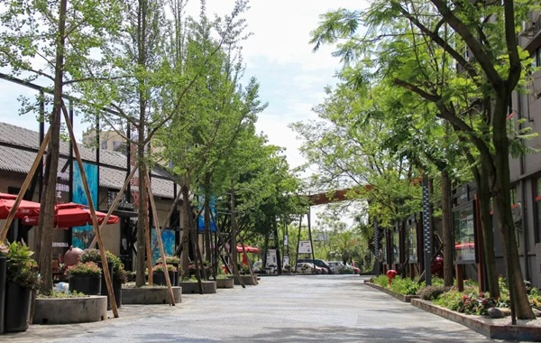 首创单招开学通知！