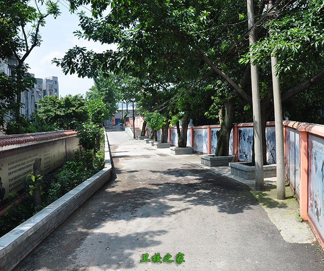 校园小道